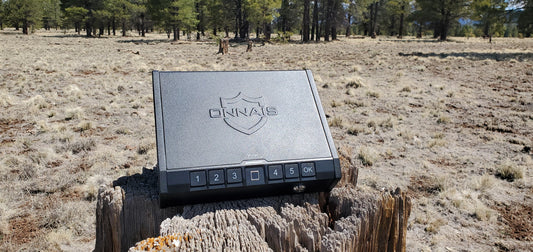 What is a biometric Safe?