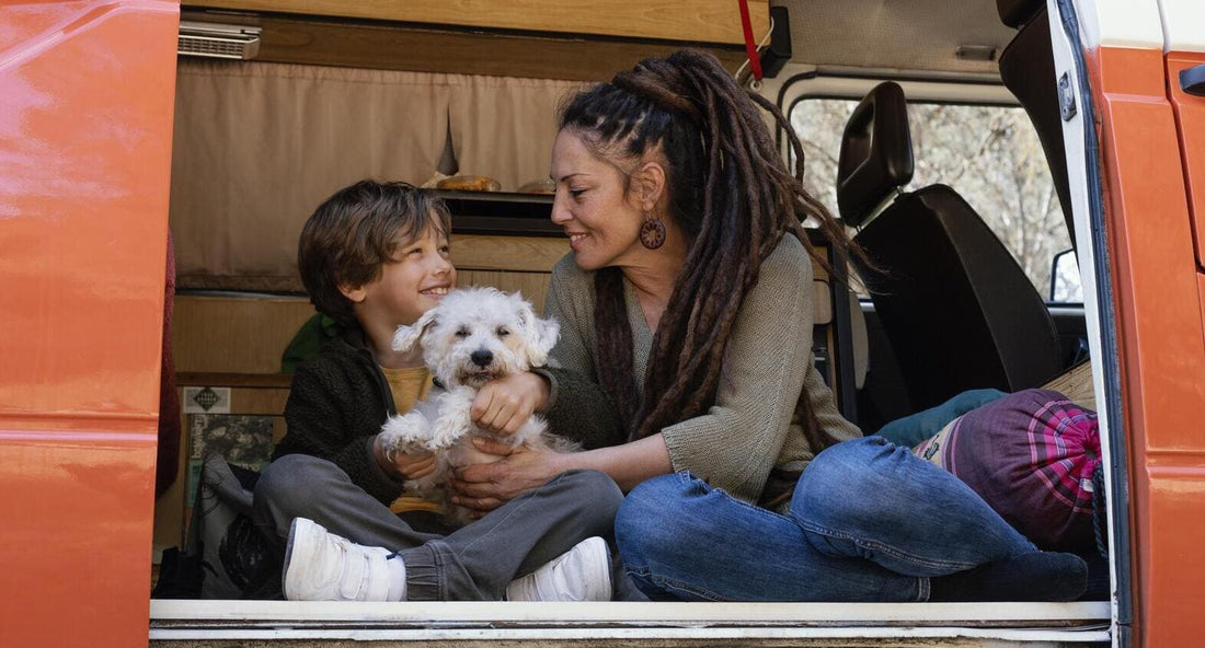 Protecting Children and Pets on the Road